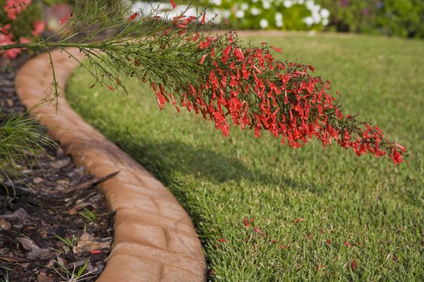 Brick Edging in Mentor