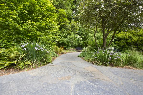 Stone Hardscape Service in Mentor